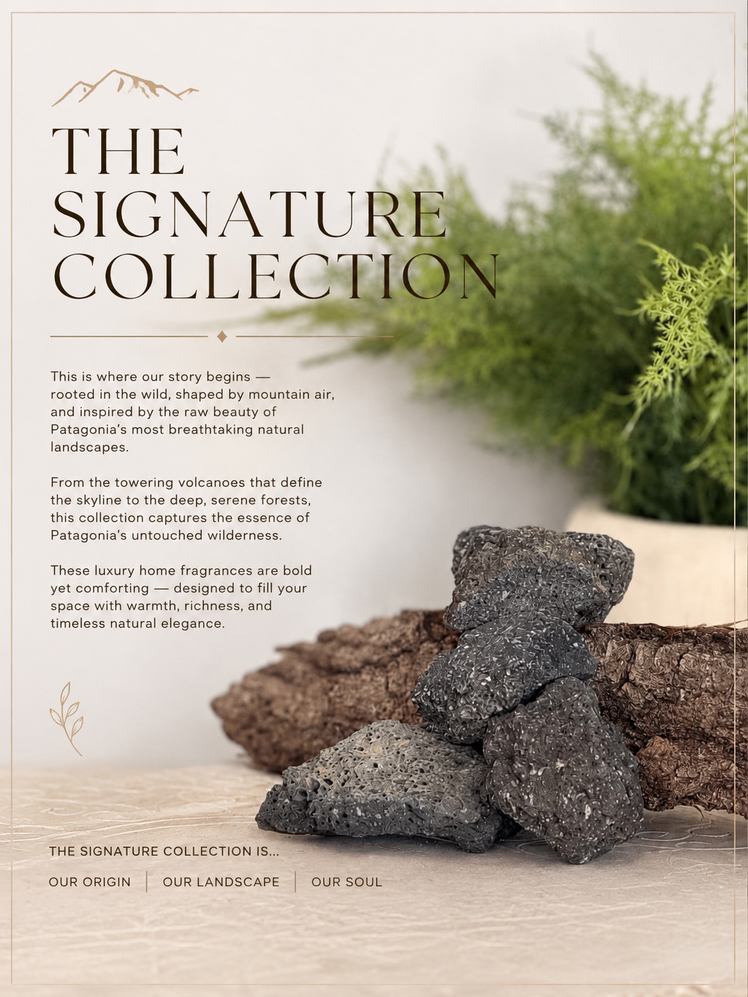 THE SIGNATURE COLLECTION