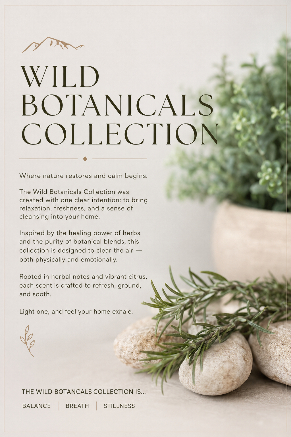 WILD BOTANICALS COLLECTION