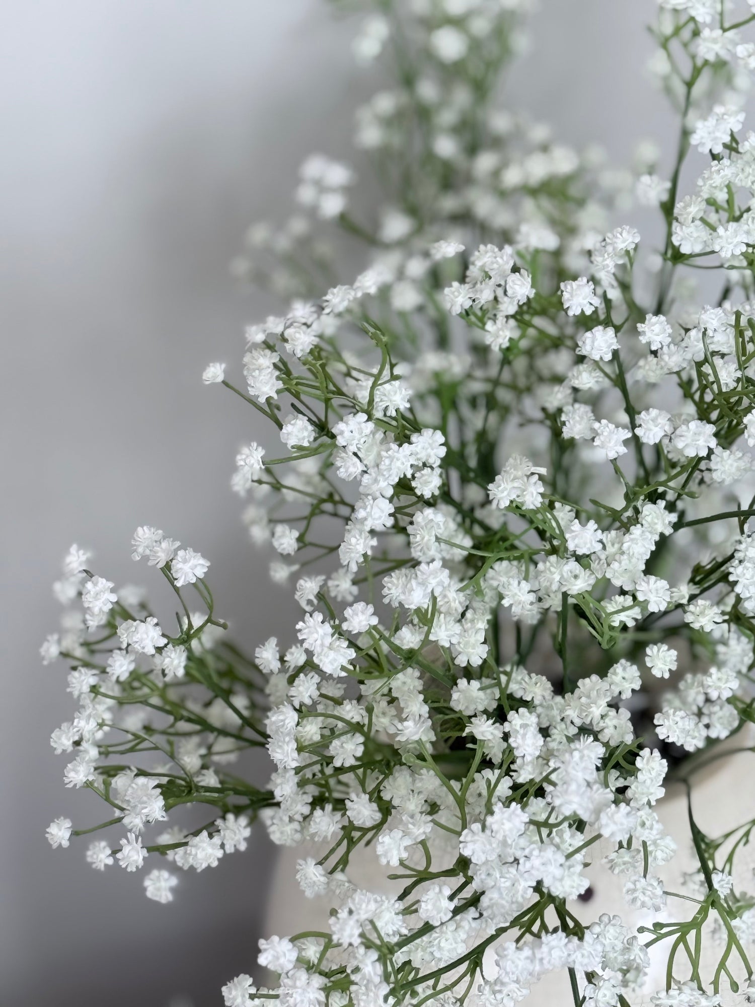 NATURE'S SWEETNESS COLLECTION