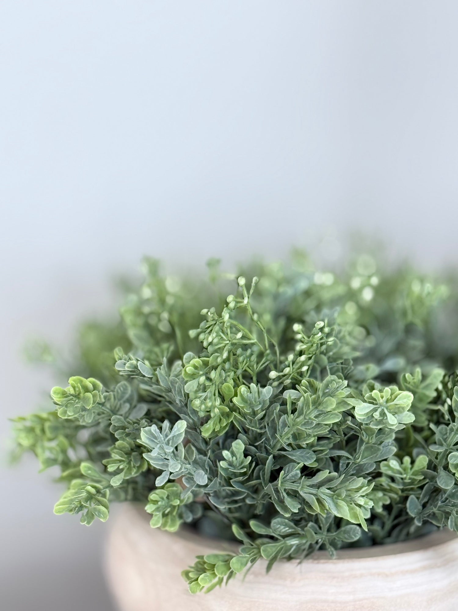 WILD BOTANICALS COLLECTION